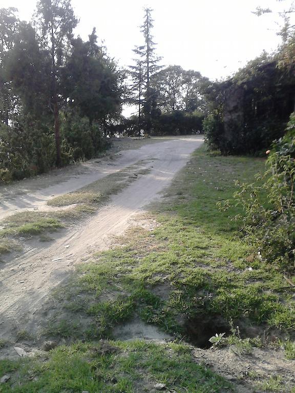Cosmos Himalayan Villas Ranikhet Extérieur photo