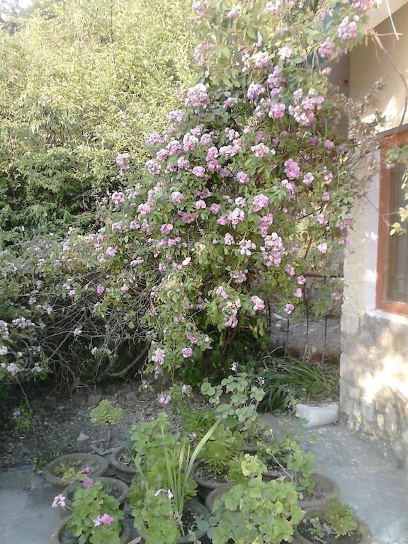 Cosmos Himalayan Villas Ranikhet Extérieur photo